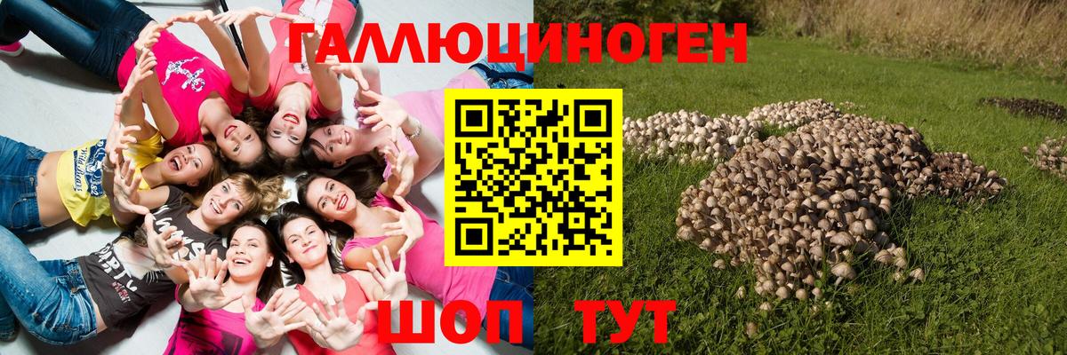 Псилоцибиновые грибы ЛСД Усинск
